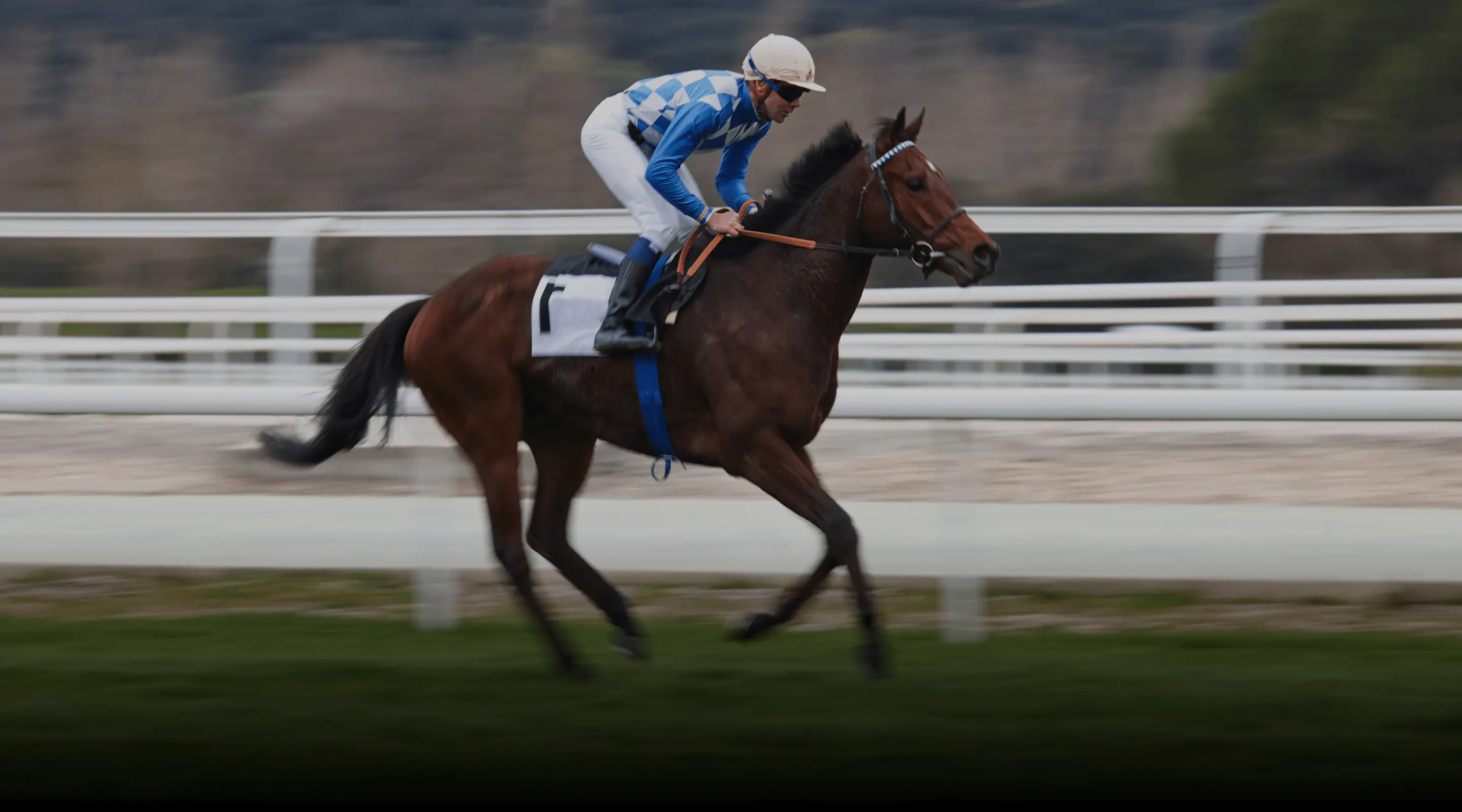 Crown Ribbon racing on the track